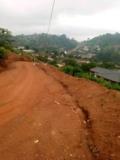 Terrain Titré À Vendre À Febe Village.,, Yaoundé, Immobilier au Cameroun