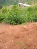 Terrain Titré À Vendre À Febe Village.,, Yaoundé, Cameroon Real Estate