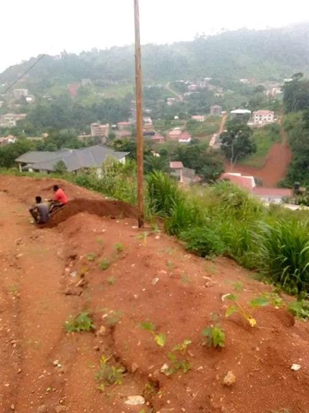 Terrain Titré À Vendre À Fébé Village Yaoundé 