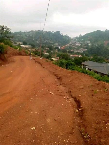 Terrain Titré À Vendre À Fébé Village Yaoundé 