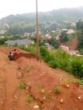 Terrain Titré À Vendre À Fébé Village Yaoundé,, Yaoundé, Cameroon Real Estate