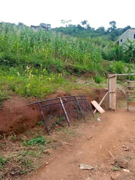 Terrain Titré À Vendre À Fébé Village Yaoundé 