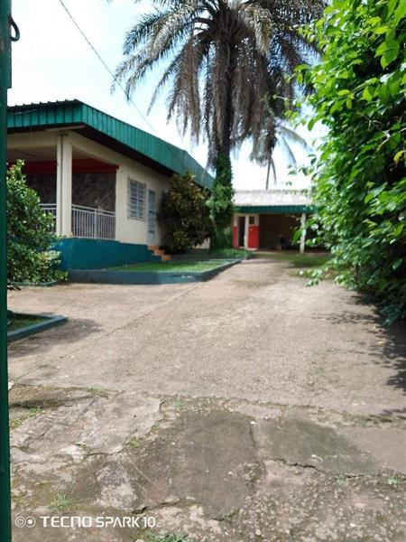 Yaounde Omnisports Vaste Villa Individuelle À Louer 