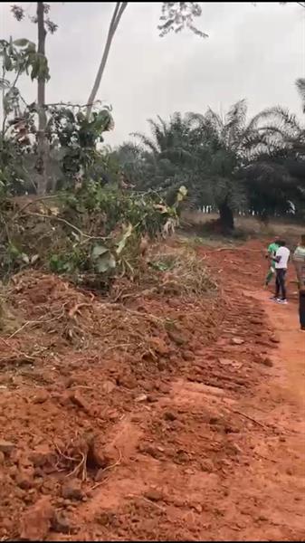 500M2 De Terrain Titré Et Loti À Vendre À Zalom Sur La Route De Mfou 