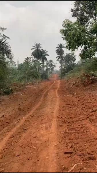 500M2 De Terrain Titré Et Loti À Vendre À Zalom Sur La Route De Mfou 