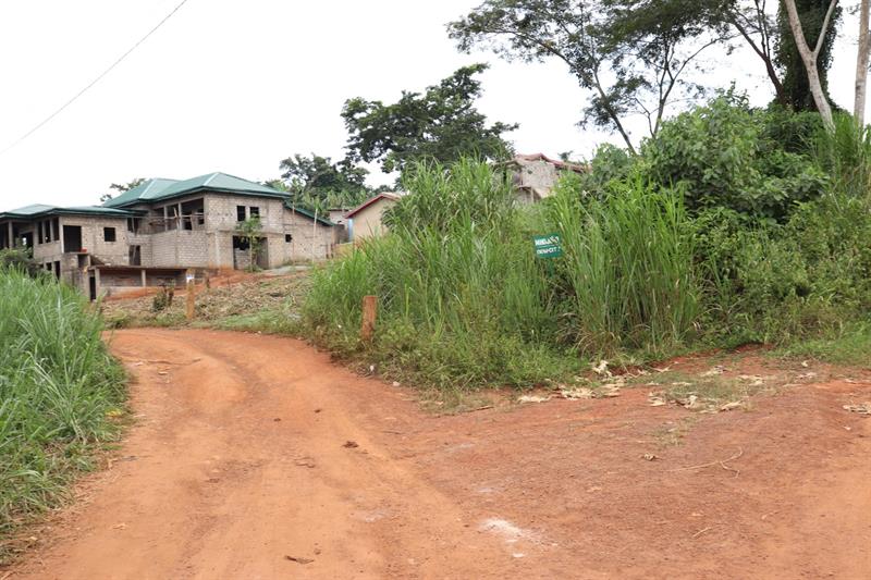 4000M2 De Terrain Titré Et Loti À Nyom 