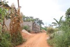 4000M2 De Terrain Titré Et Loti À Nyom,, Yaoundé, Immobilier au Cameroun