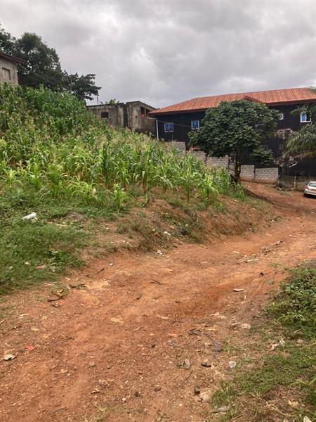 578M2 De Terrain Commercial Titré Et Loti À Ngousso 