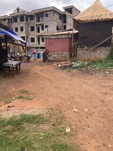 578M2 De Terrain Commercial Titré Et Loti À Ngousso 
