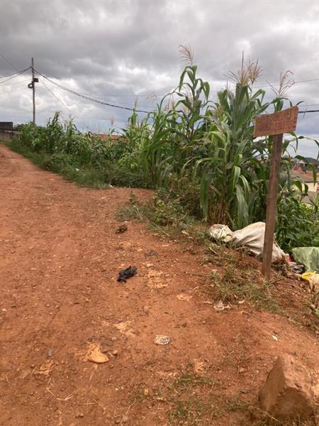 578M2 De Terrain Commercial Titré Et Loti À Ngousso 
