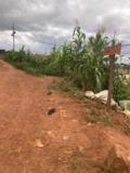 578M2 De Terrain Commercial Titré Et Loti À Ngousso,, Yaoundé, Immobilier au Cameroun