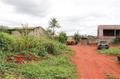 15000M2 De Terrain Titré Et Loti À Soa Centre,, Yaoundé, Immobilier au Cameroun