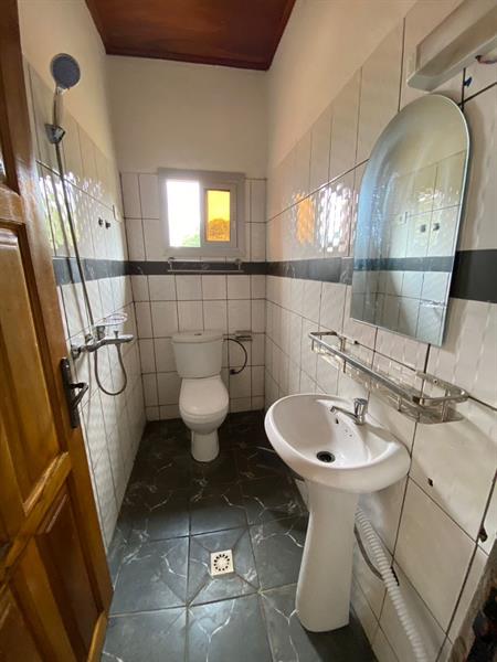 Appartement À Louer À Mendong 