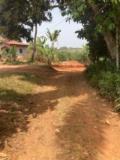 Terrain Titré Et Loti De 200M2 À Vendre À Nkoabang,, Yaoundé, Immobilier au Cameroun
