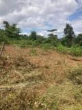 Magnifique Terrain Titré A Mbamkomo-Yaounde,, Yaoundé, Immobilier au Cameroun