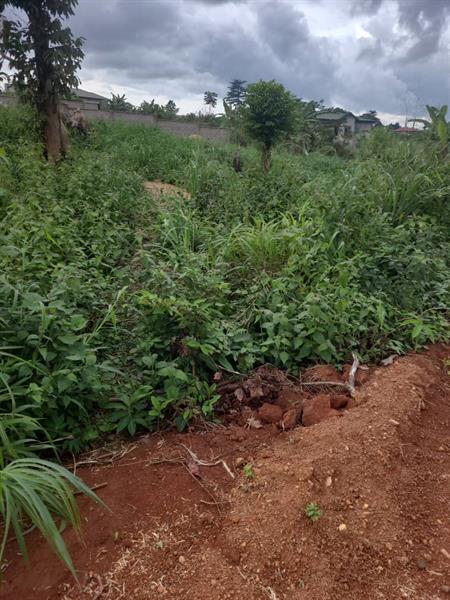 Land For Sale One Stop Point