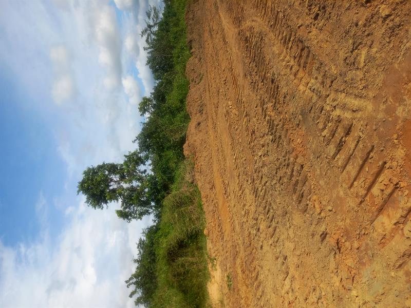 Terrain Titré Et Lotis Au Pk27 ( Douala 5Ème) Serge Global Services