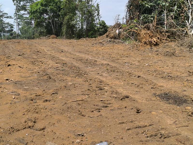 Terrain Titre Et Loti En Vente A Mfou 