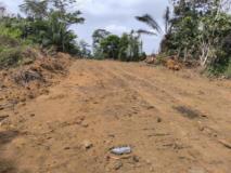 Terrain Titre Et Loti En Vente A Mfou,, Yaoundé, Cameroon Real Estate