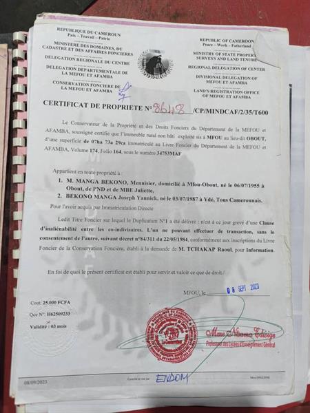 Terrain Titre Et Loti En Vente A Mfou 
