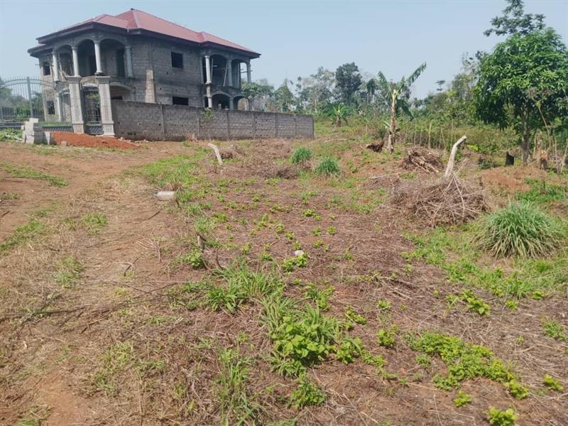 Terrain Titre Et Loti A Vendre A Nyom Yaounde 