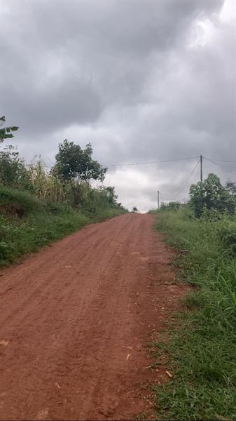 Terrain Avec Fondation D4un R+3 Titre Et Loti En Vente A Nkoabang 