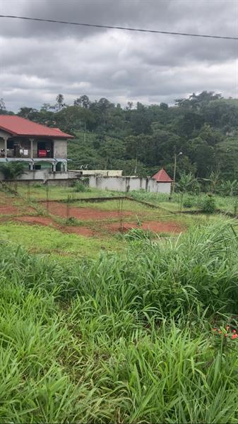 Terrain Avec Fondation D4un R+3 Titre Et Loti En Vente A Nkoabang 