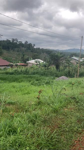 Terrain Avec Fondation D4un R+3 Titre Et Loti En Vente A Nkoabang 