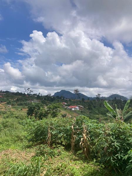 Magnifiques Terrains Titres En Vente A Mbankomo 
