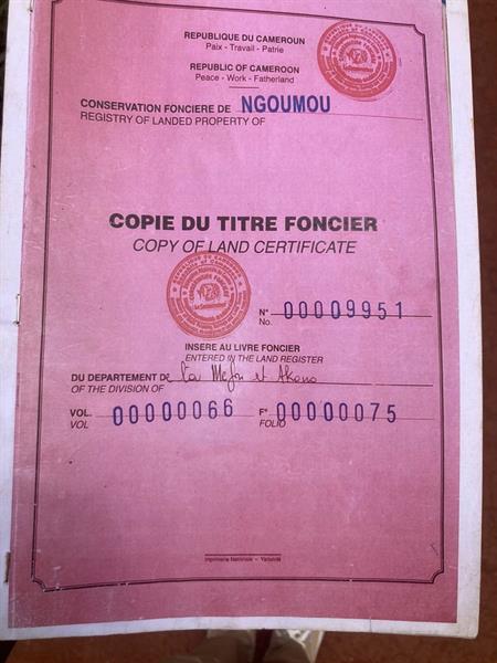 Magnifiques Terrains Titres En Vente A Mbankomo 
