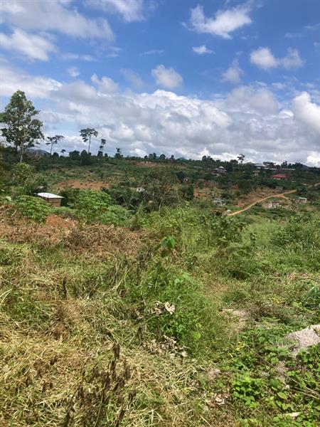 Magnifiques Terrains Titres En Vente A Mbankomo 