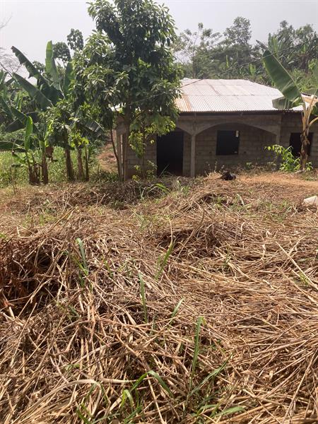 Terrain Titre Et Loti En Vente A Nkoabang-Yaounde 