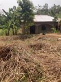 Terrain Titre Et Loti En Vente A Nkoabang-Yaounde,, Yaoundé, Cameroon Real Estate