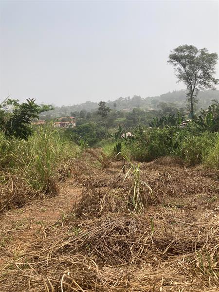 Terrain Titre Et Loti En Vente A Nkoabang-Yaounde 