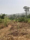 Terrain Titre Et Loti En Vente A Nkoabang-Yaounde,, Yaoundé, Cameroon Real Estate