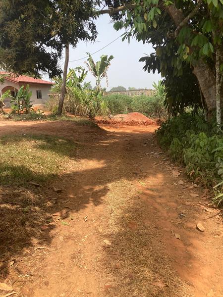 Terrain Titre Et Loti En Vente A Nkoabang-Yaounde 
