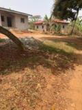 Terrain Titre Et Loti En Vente A Nkoabang-Yaounde,, Yaoundé, Immobilier au Cameroun