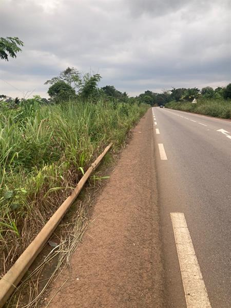 A Vendre :  Terrain Titre A Elat Yaounde 