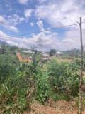 Terrain Titre Et Loti A Vendre A Nomayos,, Yaoundé, Immobilier au Cameroun