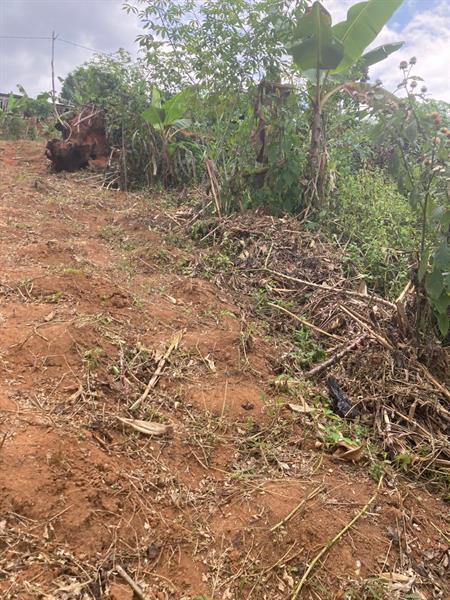 Terrain Titre Et Loti A Vendre A Nomayos 