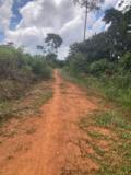 A Vendre : Terrain Titre A Nomayos,, Yaoundé, Immobilier au Cameroun