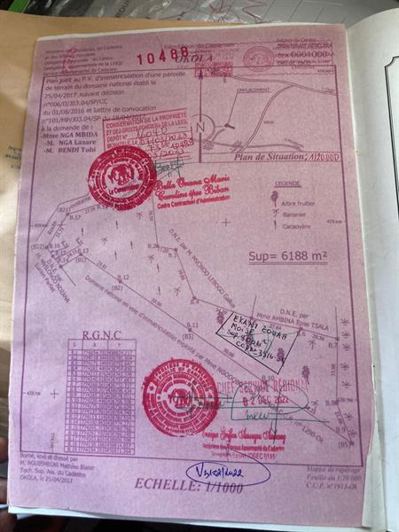 Terrain Titre En Vente A Nkolondom 
