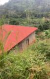 Terrain Titre En Vente A Nkolondom,, Yaoundé, Immobilier au Cameroun