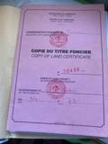 Terrain Titre En Vente A Nkolondom,, Yaoundé, Cameroon Real Estate