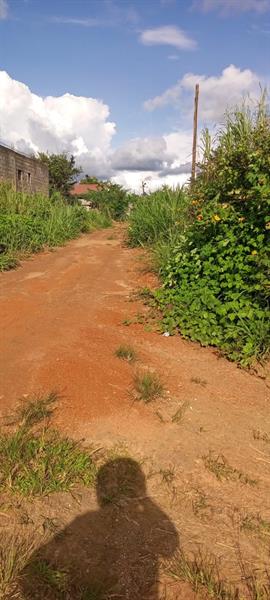 Terrain Titre En Vente A Nkolnda 