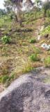 Terrain Titre En Vente A Nkolnda,, Yaoundé, Cameroon Real Estate