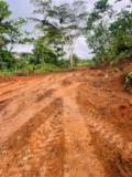 Terrain En Vente A Nkolafamba Yaounde,, Yaoundé, Cameroon Real Estate