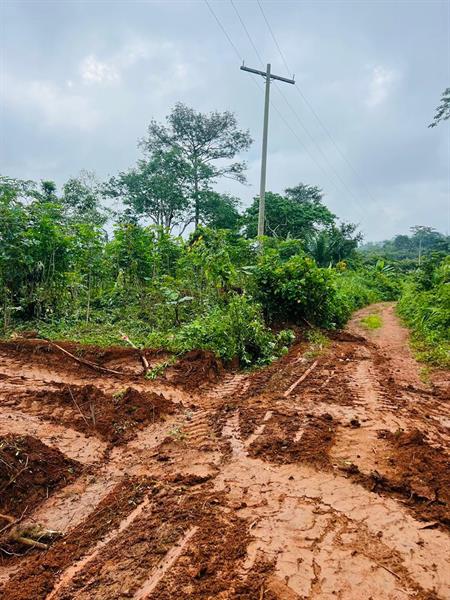 Terrain En Vente A Nkolafamba Yaounde 
