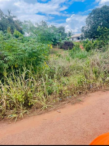 Terrain En Vente A Nkolafamba Yaounde 