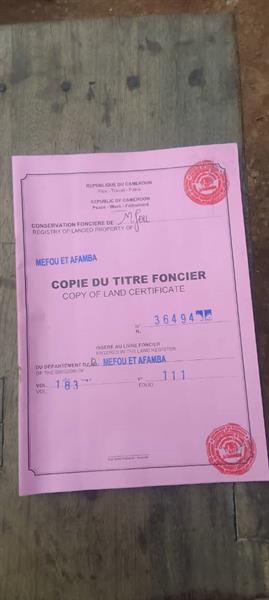 Nkoabang Terrain Titre Bien Situé D'une Superficie De 500M2 À Vendre Groupe Tsamo Immo
